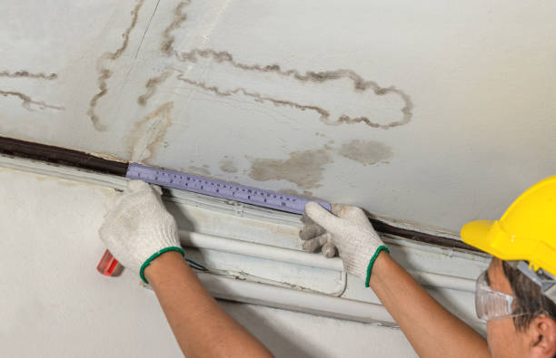 Reliable Flood Cleanup contractor in Odessa, MO by Water Damage Irwin
